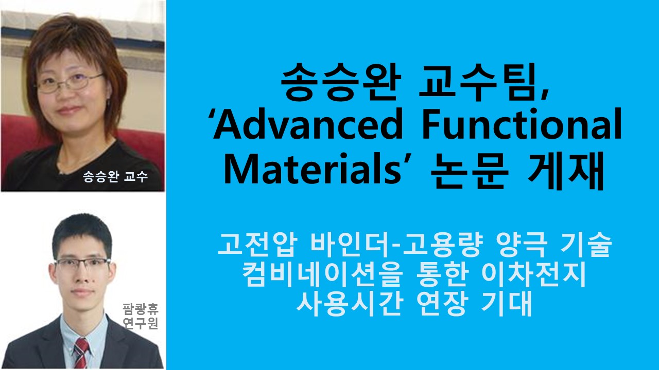 송승완 교수팀, 국제저널 ‘Advanced Functional Materials’ 논문 게재